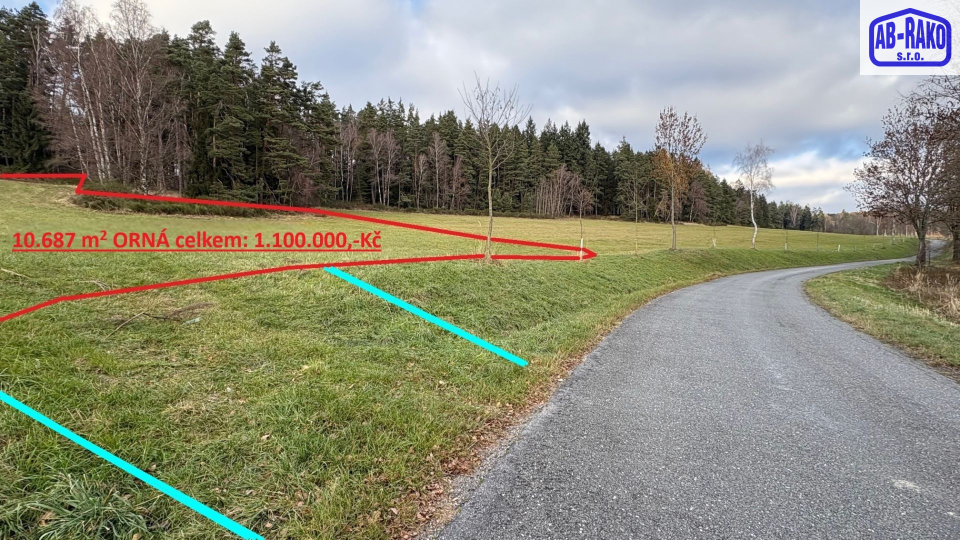 Pozemek 1 ha na jižním svahu pod lesem u Lhoty - titulní obrázek