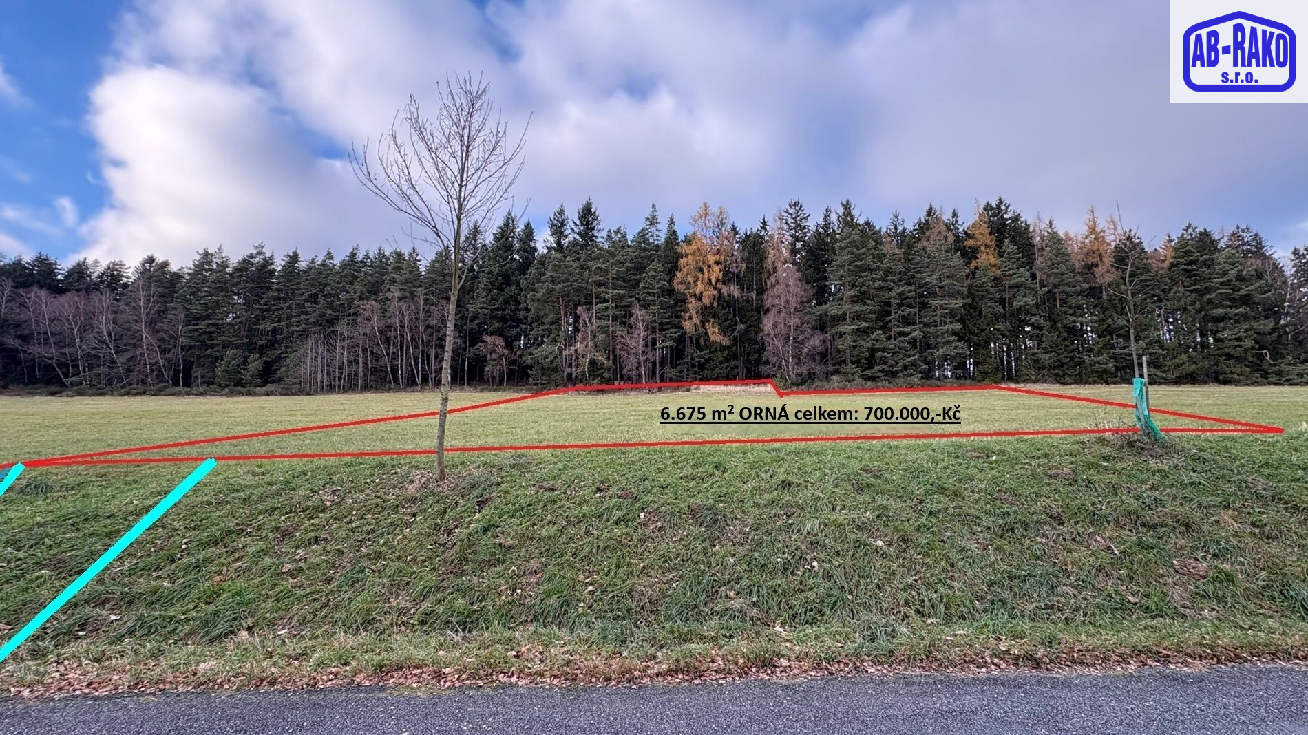 Jižní svah - ORNÁ pod lesem 0,66 ha ve Lhotě u Sedla - titulní obrázek